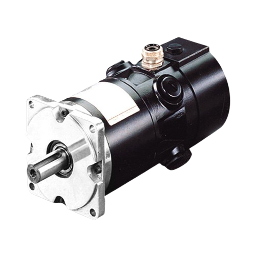 Servo motor DC RS Series High performance